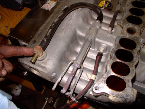 1990 Lincoln Town Car - For those interested, that's where the hose off the PCV valve get's plug into.