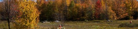 1979 Ford Bronco - A rural scene with two trucks in a field during autumn, with colorful trees in the distance.