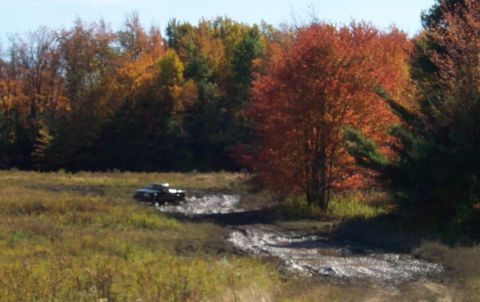 1979 Ford Bronco - A pickup truck navigates a muddy track amidst autumn trees.