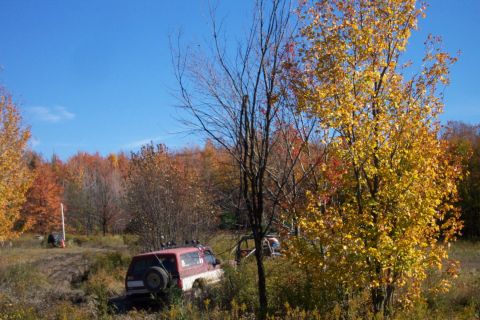 1979 Ford Bronco - Off-road vehicles drive through a wooded area during the fall season.