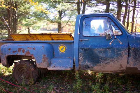 1979 Ford Bronco - A blue pickup truck sits in a wooded area, covered in mud with a yellow insert in its truck bed.
