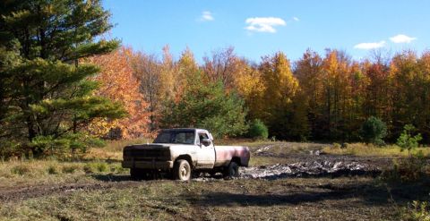 1979 Ford Bronco - A white pickup truck is stuck in a muddy area with fall foliage visible behind it.