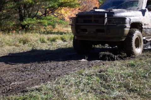 1979 Ford Bronco - A muddy truck with large tires is stuck in the mud, with trees and foliage in the background.
