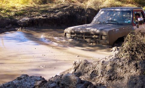 1979 Ford Bronco - A truck is stuck in a mud pit, with only its front end visible above the mire.