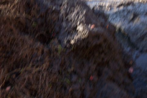 1979 Ford Bronco - The image shows a blurry scene of muddy ground with some vegetation, a Supermotors watermark at the bottom right.