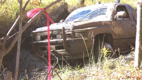 1979 Ford Bronco - Pickup truck is stuck deep in mud, with a red ribbon tied to a nearby tree branch.