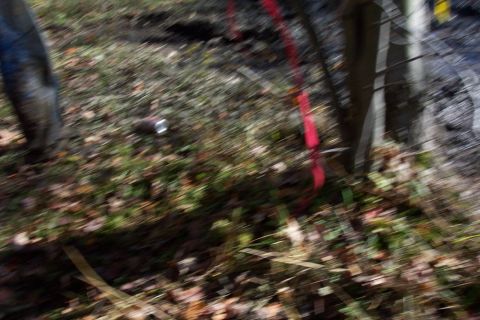 1979 Ford Bronco - A blurry outdoor scene shows the ground covered in leaves, a red strap, and a discarded can, with a Supermotors watermark.