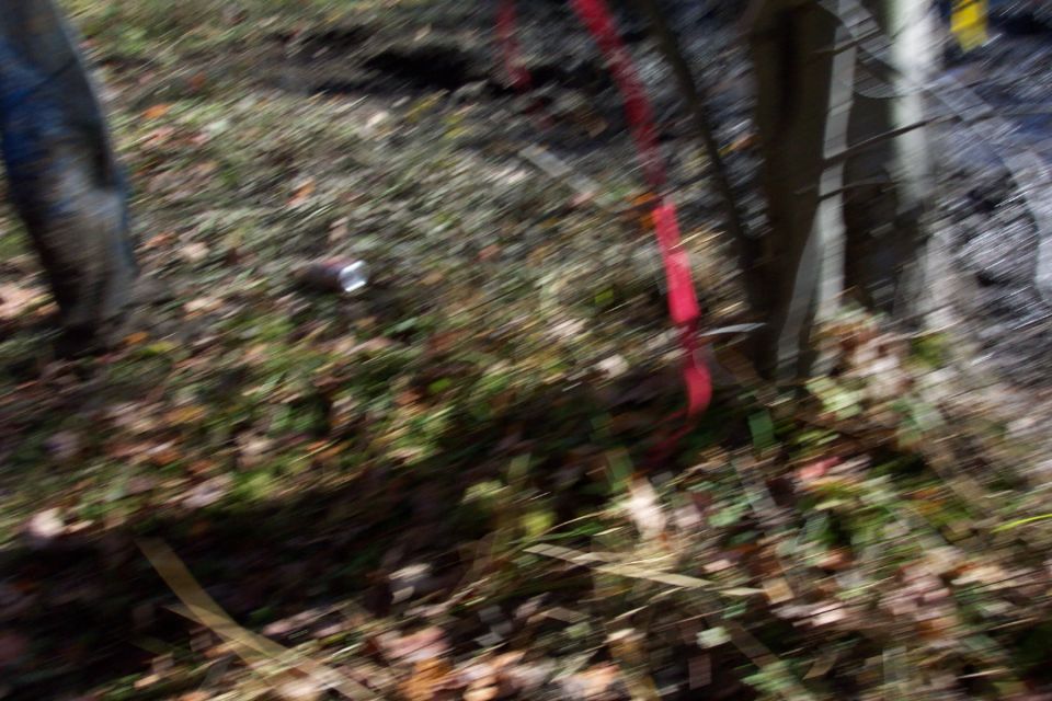 Ground with fallen leaves, a red strap, and a discarded can