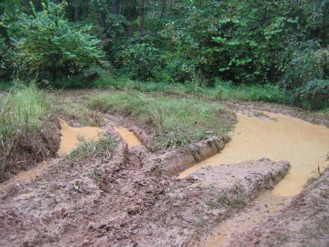 1992 Ford Mustang - A muddy off-road track with tire marks and water puddles, surrounded by trees and vegetation.