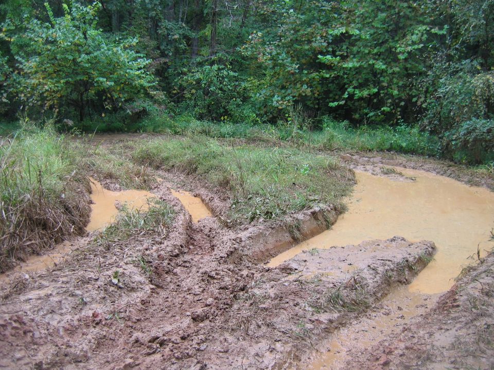 Muddy track with deep tire ruts and standing water in a wooded area