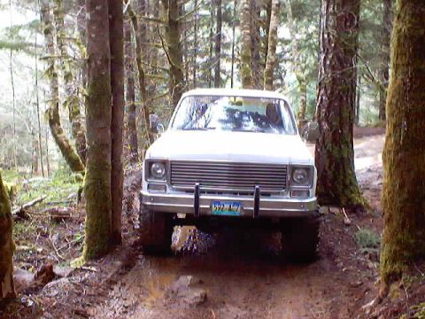 1976 Ford F-100 - This truck is navigating a wet, wooded trail with large tires.