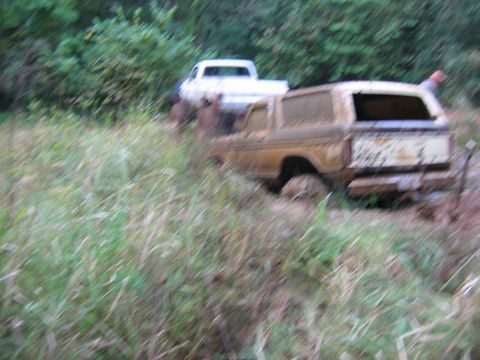 1992 Ford Mustang - Two off-road vehicles are partially submerged in mud and overgrown vegetation.