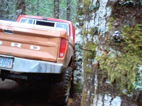 1976 Ford F-100 - This 1976 Ford F-100 is navigating a tight spot between trees.