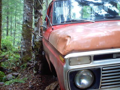 1976 Ford F-100 - This 1976 Ford F-100 appears to be stuck between two trees in a wooded area.