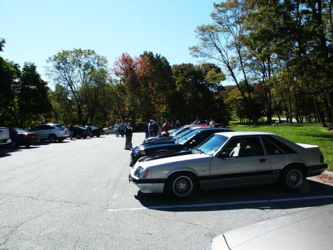 2001 Mercury Grand Marquis - Several cars are parked in a lot on a sunny day with trees in the background.