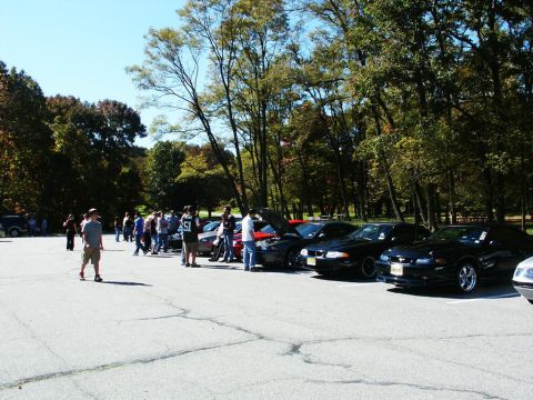 2001 Mercury Grand Marquis - A line of cars, including a black Ford Mustang, are parked in a lot during an outdoor gathering.