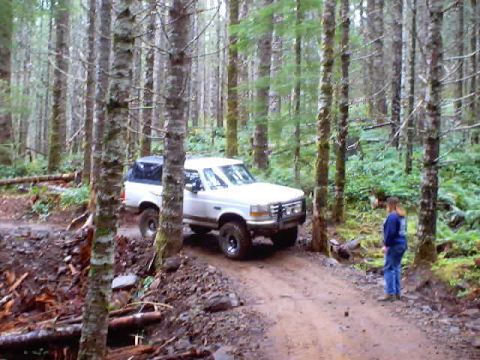 1976 Ford F-100 - A white Ford F-150 truck navigates a wooded trail with a person standing nearby.