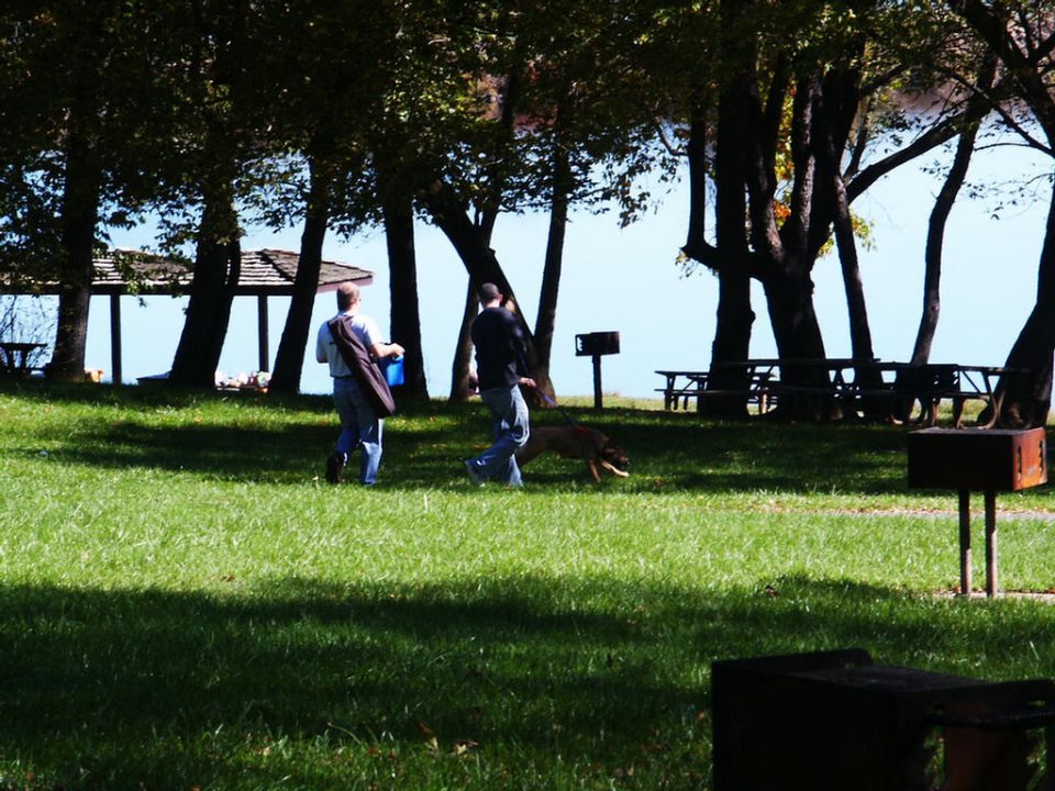 Two guys and a dog walk across a grassy park area near a lake. Picnic tables and grills are visible