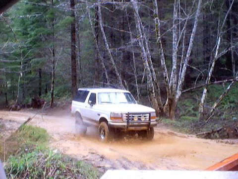 1976 Ford F-100 - White Ford Bronco navigating a muddy trail in a forest setting.