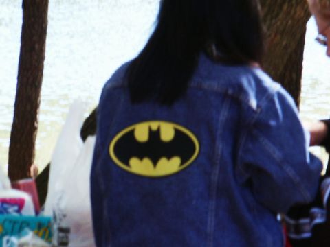 2001 Mercury Grand Marquis - A person wears a denim jacket with a prominent Batman logo on the back, with a body of water visible behind them.