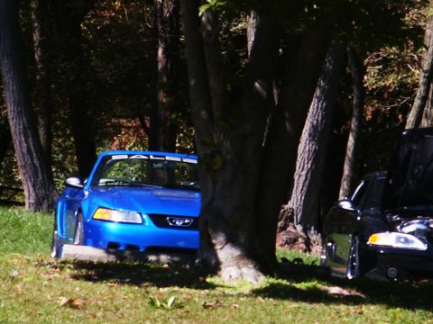2001 Mercury Grand Marquis - A blue 2001 Ford Mustang is parked next to a black vehicle under trees at a picnic.