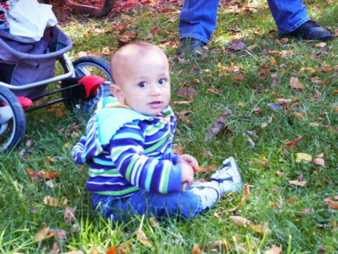 2001 Mercury Grand Marquis - Baby sits on grass near a stroller with adult legs in the background.