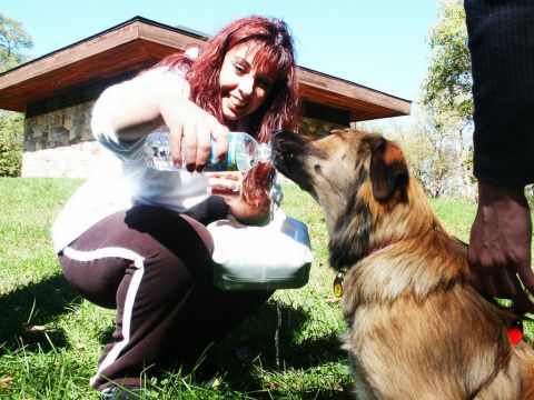 2001 Mercury Grand Marquis - A woman gives water to a dog outdoors, with a modern building and trees visible.