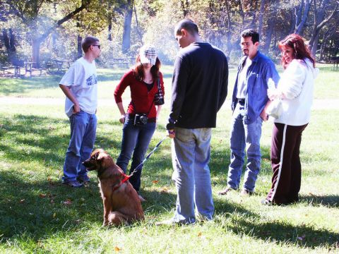 2001 Mercury Grand Marquis - A group of people and a dog gather at a park picnic, with picnic tables visible in the distance.
