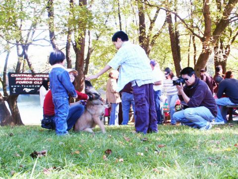 2001 Mercury Grand Marquis - A group of people gather outdoors, with a dog being petted by a child and an adult.