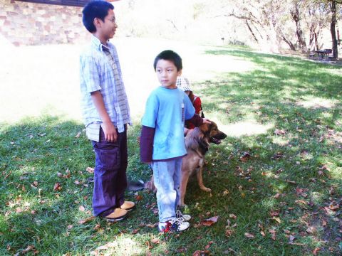 2001 Mercury Grand Marquis - A dog stands with two boys in a park setting, with trees and a picnic table visible.