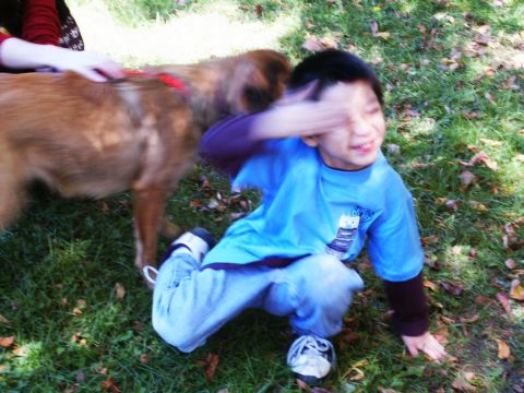 2001 Mercury Grand Marquis - A young boy covers his eyes while a dog stands nearby in a grassy outdoor setting.