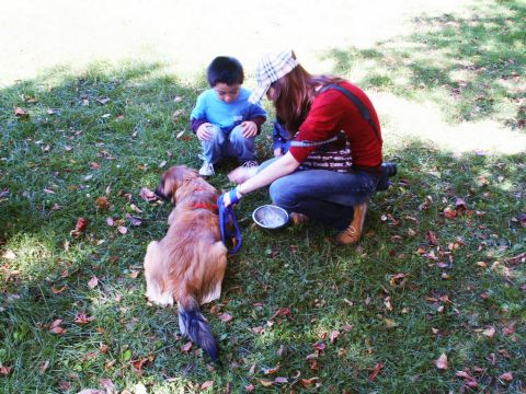 2001 Mercury Grand Marquis - A child and an adult interact with a dog in an outdoor grassy area with scattered leaves.