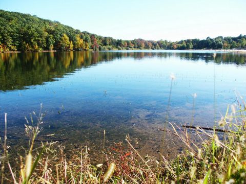 2001 Mercury Grand Marquis - A lake scene with trees showing fall colors and the Supermotors logo visible in the lower right corner.
