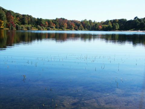 2001 Mercury Grand Marquis - Autumn foliage surrounds a tranquil lake, with clear water showing submerged vegetation.