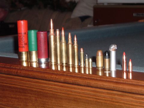 1995 Mercury Grand Marquis - Various types of ammunition are displayed in a row on a wooden surface.