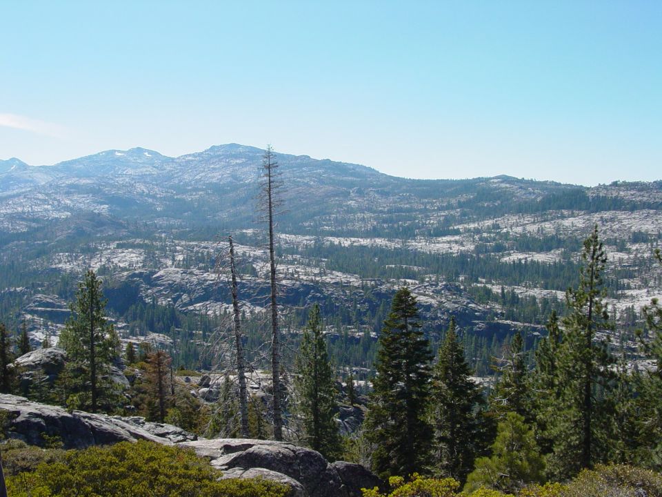 Granite mountain landscape with pine trees under blue sky