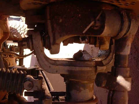 1987 Ford Bronco - hmmm i guess i should turn that... that is a stock D60 short side inner with no ears.