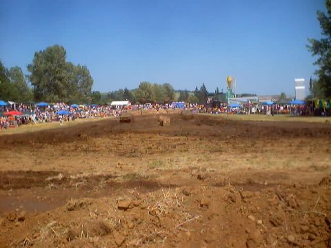 1976 Ford F-100 - Spectators watch an event on a muddy track.
