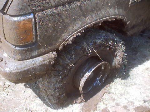 1976 Ford F-100 - This truck's wheel is completely submerged in thick mud, with grass and debris clinging to the tire.