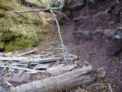 2000 Chevrolet Tahoe - A natural scene of a rock formation with scattered logs and foliage.