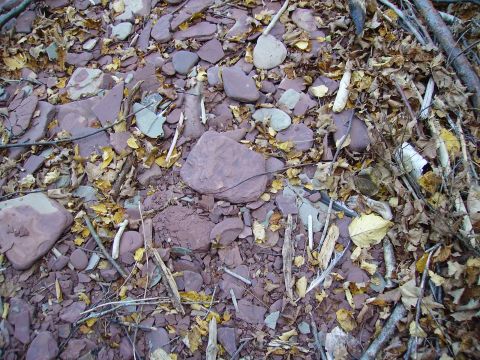 2000 Chevrolet Tahoe - The ground is covered with red rocks and fallen leaves, suggesting an outdoor, natural setting.