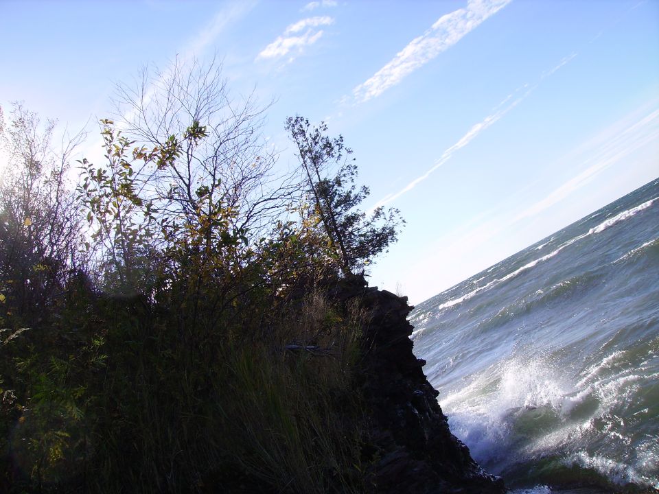 rocky cliff edge with trees and waves crashing on the shore under a blue sky