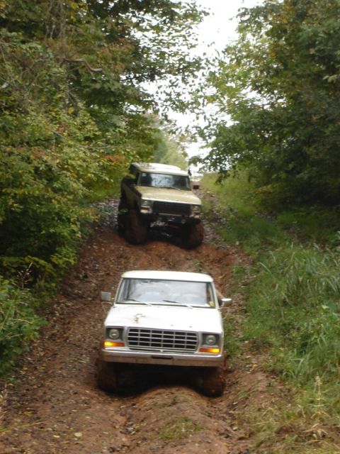 1992 Ford Mustang - Two trucks navigate a challenging muddy path surrounded by trees.