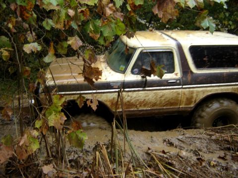 1992 Ford Mustang - This Ford Bronco is stuck deep in the mud, with branches and leaves overhead.