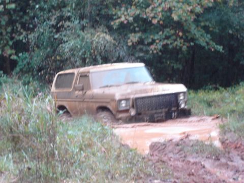 1992 Ford Mustang - A brown Ford Bronco is stuck in a muddy puddle, surrounded by overgrown vegetation.