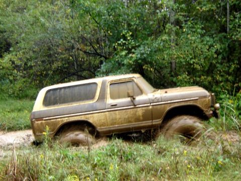 1992 Ford Mustang - This classic Ford Bronco is deep in the mud, with only its side visible as it navigates a wet, overgrown trail.