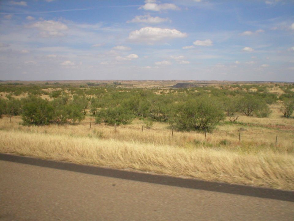 wide shot of a dry, grassy field with scattered bushes under a partly cloudy sky. A road is visible in the foreground