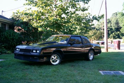 1998 Ford Mustang - This black coupe with a prominent hood scoop is parked on a grassy lawn.