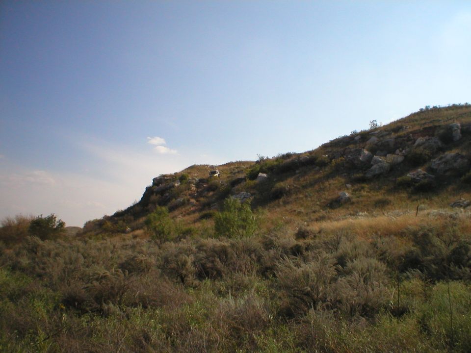 White SUV parked on a grassy hillside under a blue sky