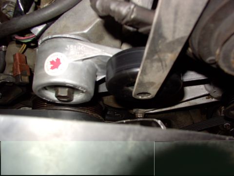 1988 Ford C-350 (Centurion Conversions) - Belt tensioner pulley assembly with a Canadian maple leaf sticker and visible part number.